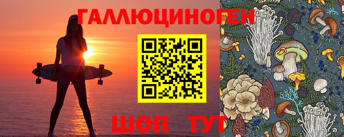 Псилоцибиновые грибы MAGIC MUSHROOMS Раменское